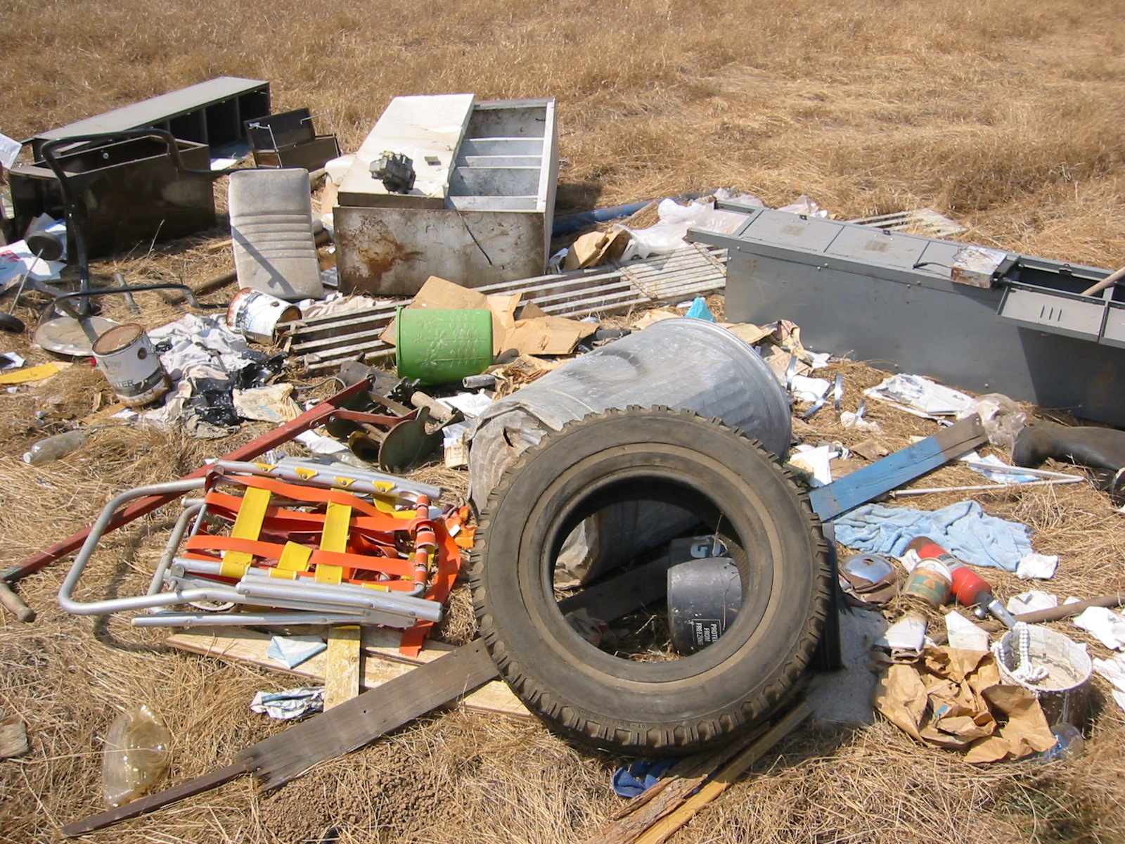 Examples of Junk, Garbage, and Rubbish: